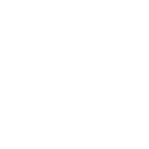 Favicon-SDP